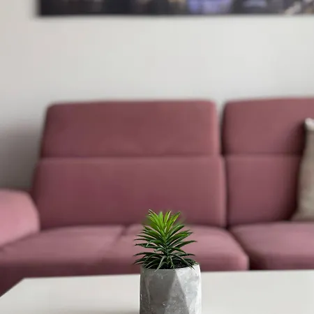 Apartment Sun In Center