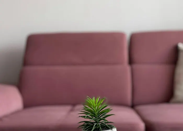 Apartament Sun In Center